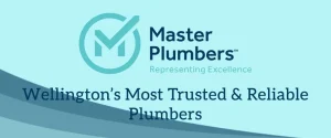 Understanding Master Plumbers Wellington, Drainlayers, gasfitters,