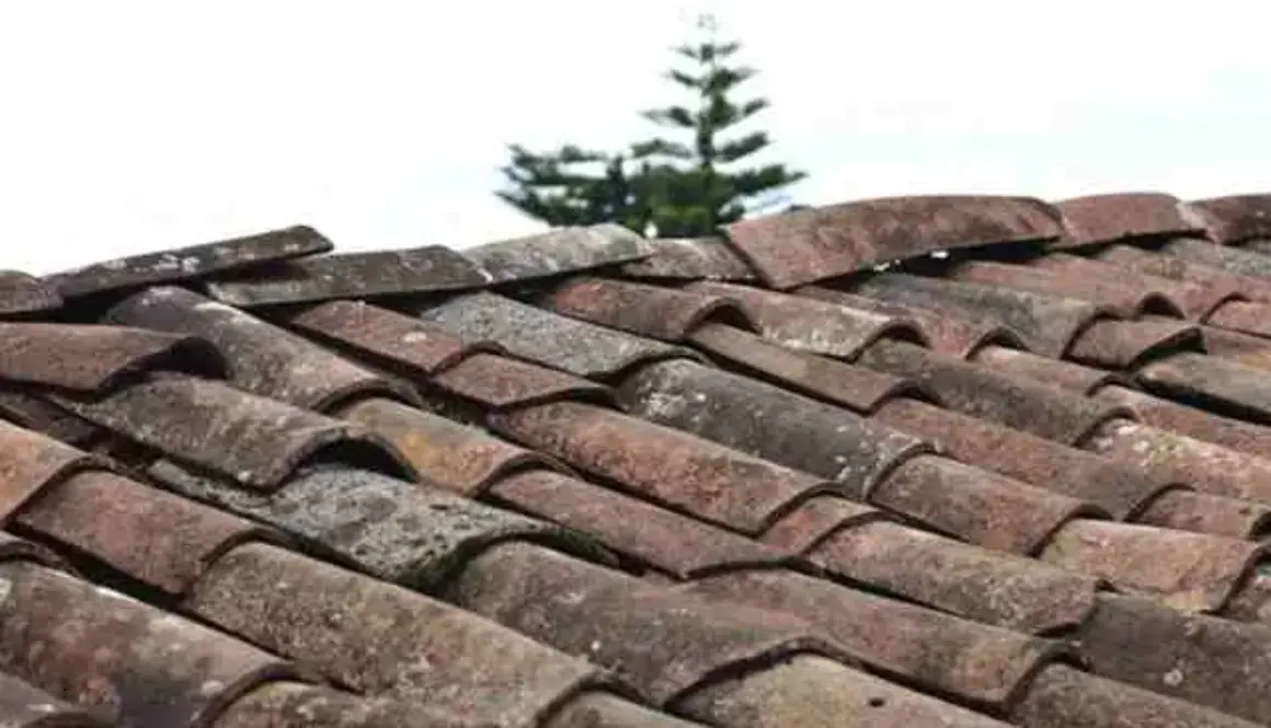 Smart Roof Maintenance Tips