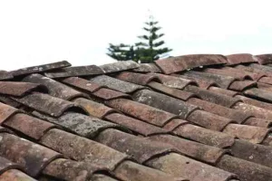 Smart Roof Maintenance Tips