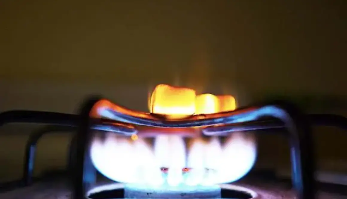 Importance of Gas Appliance Servicing
