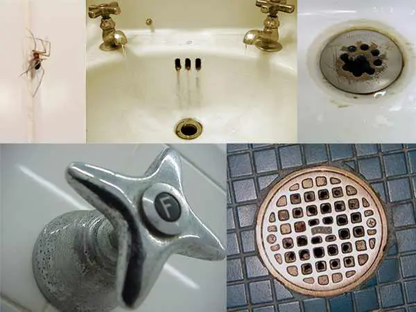 motel bathroom upgrade renovation Wellington NZ.jpg