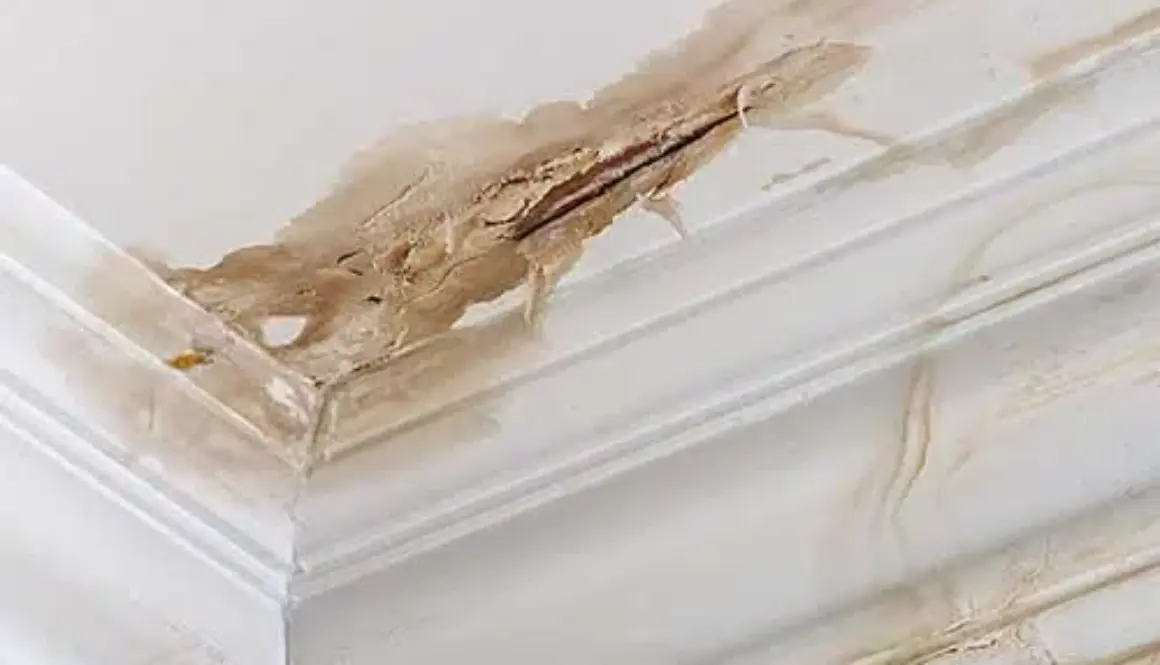 5 Signs of a Roof Leak