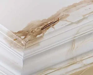 5 Signs of a Roof Leak
