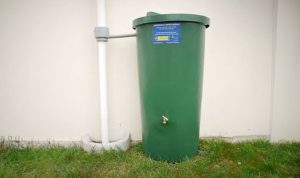 Measures for Wellington Residents: Storing Emergency Water Amid Water Shortage Concerns