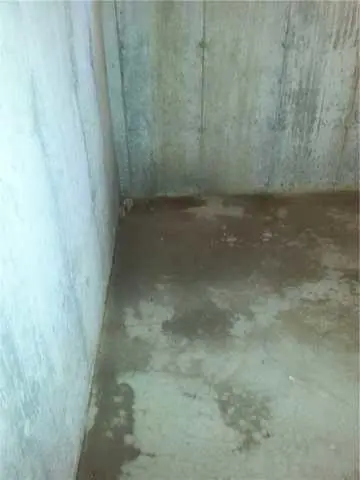 Basement Dampness caused by ground water seepage.