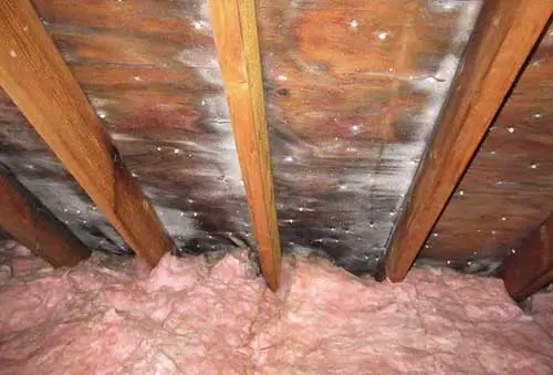 Roof Leaking Specialists in Wellington