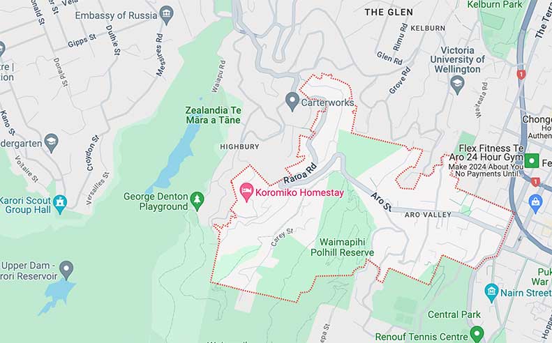 Aro Valley Plumbers - Emergency Aro Valley Plumbing 2 Aro Valley Plumbers - Emergency Aro Valley Plumbing
