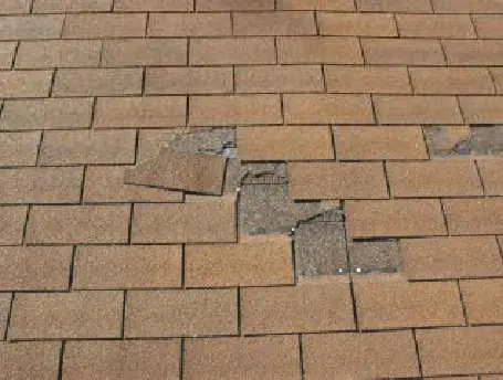Roof Leaking Specialists in Wellington