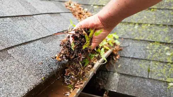 Roof Leaking Specialists in Wellington