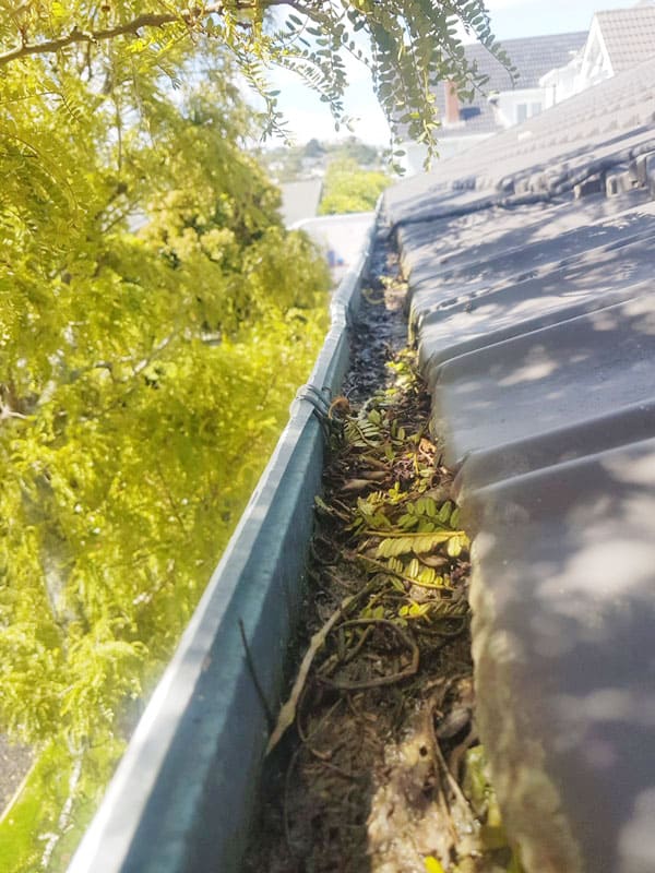 Gutter Cleaning Wellington 2 gutter-cleaners-wellington-pro-experts-near-me