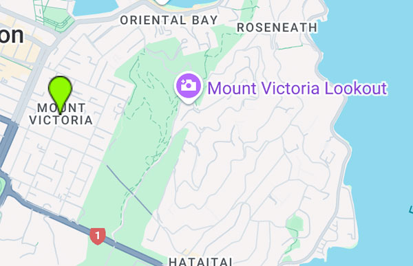 #1 Mt Victoria Plumbers - open 24/7